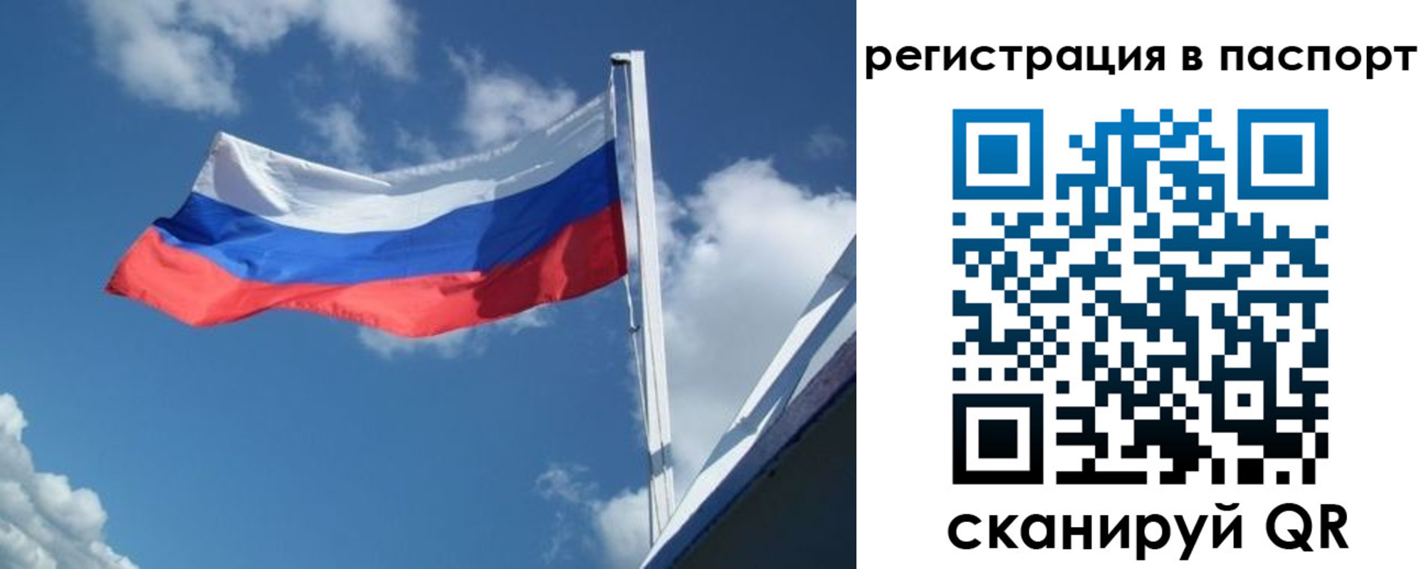 временная регистрация гарантия в Ельне